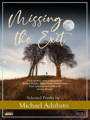 cover image of Missing the Exit
